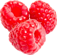 Raspberry PNG Free Download 2