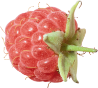 Raspberry PNG Free Download 23