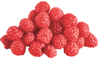 Raspberry PNG Free Download 24