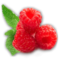Raspberry PNG Free Download 25