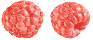 Raspberry PNG Free Download 28