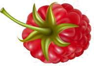 Raspberry PNG Free Download 29