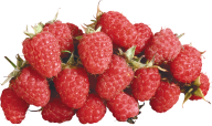 Raspberry PNG Free Download 3
