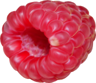 Raspberry PNG Free Download 31