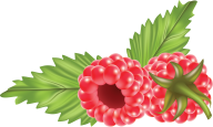 Raspberry PNG Free Download 34