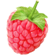Raspberry PNG Free Download 36