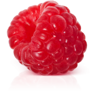 Raspberry PNG Free Download 38