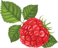 Raspberry PNG Free Download 5