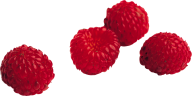 Raspberry PNG Free Download 8