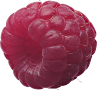 Raspberry PNG Free Download 9