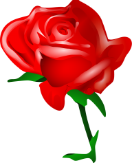 red rose clipart free png download