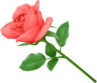 red rose green leaves clipart free png download