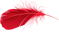 Reddish Feather Png Image