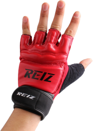 reiz boxing gloves free png download