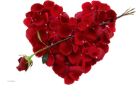 Rose png with heart
