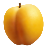 Round Apricot Png Download