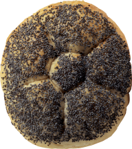 round black dot breed  free png image download