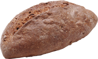 round oval breed  free png image download