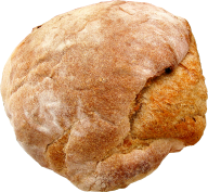round swet breed  free png image download