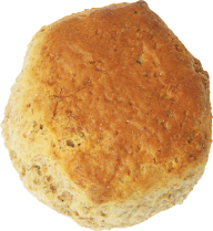 roundsweet  breed  free png image download