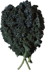 Salad PNG Free Download 11
