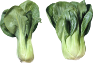 Salad PNG Free Download 12