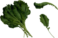 Salad PNG Free Download 13