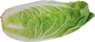 Salad PNG Free Download 15