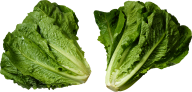 Salad PNG Free Download 18