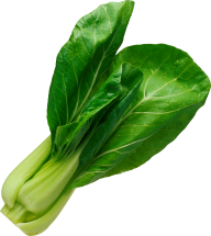 Salad PNG Free Download 19