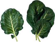Salad PNG Free Download 2
