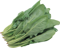 Salad PNG Free Download 3