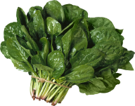 Salad PNG Free Download 6