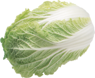 Salad PNG Free Download 7