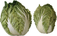 Salad PNG Free Download 8