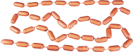 Sausage PNG Free Download 14