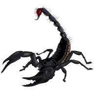 Scorpion PNG Free Download 19