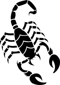 Scorpion PNG Free Download 23