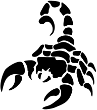 Scorpion PNG Free Download 27