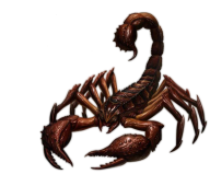 Scorpion PNG Free Download 5