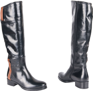 shiny boots png