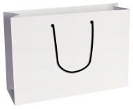 Shopping Bag PNG Free Download 1