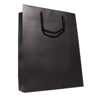 Shopping Bag PNG Free Download 12