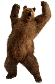 Shouting Bear Png Image