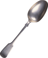 Silver Spoon