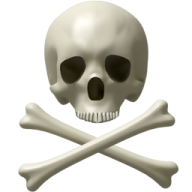 Skeleton PNG Free Download 15
