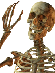 Skeleton PNG Free Download 19
