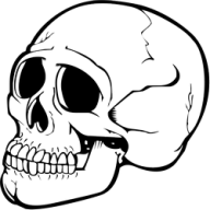 Skeleton PNG Free Download 26