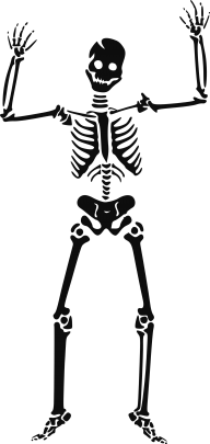 Skeleton PNG Free Download 29