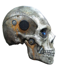 Skeleton PNG Free Download 37